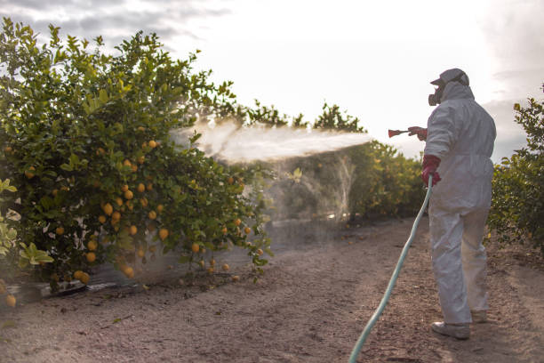 Best Best Pest Control Companies  in Tazewell, VA