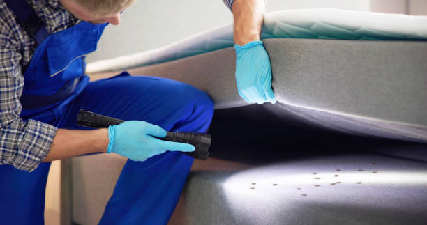 Best Rat Extermination Near Me  in Tazewell, VA
