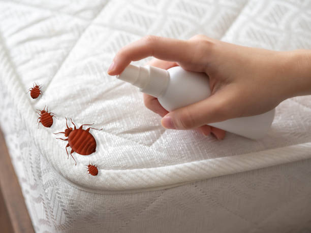 Best Residential Pest Control  in Tazewell, VA